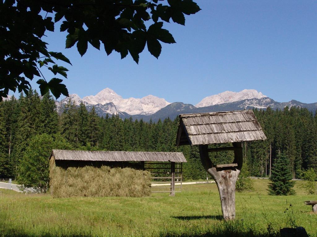 Apartment Zatrnik Bled Dış mekan fotoğraf