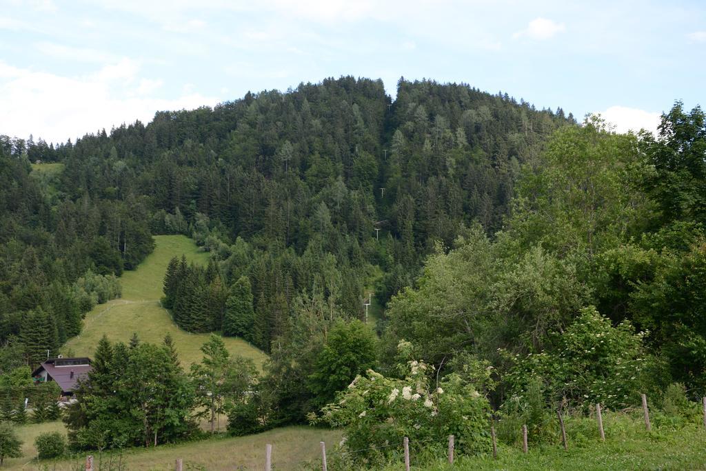Apartment Zatrnik Bled Dış mekan fotoğraf